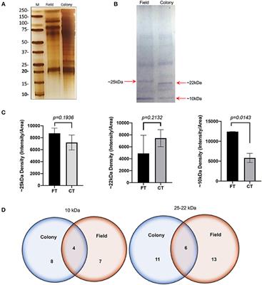 Differential Tick Salivary Protein Profiles and Human Immune Responses to Lone Star Ticks (Amblyomma americanum) From the Wild vs. a Laboratory Colony